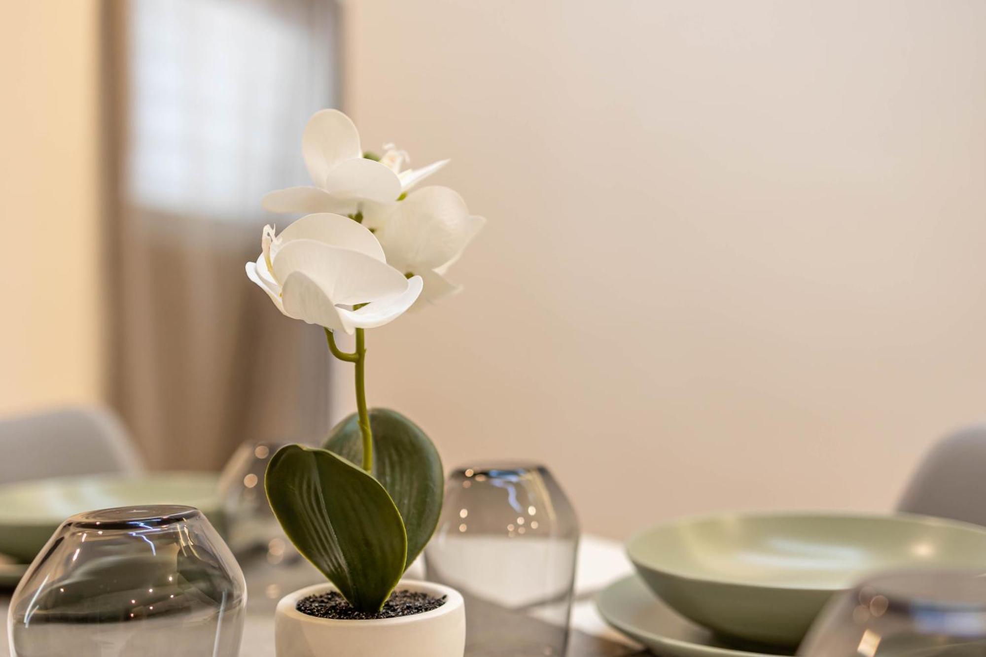 Wanderlust289 In Centro A Apartment